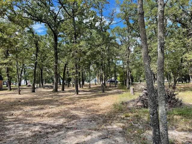 a view of road with trees