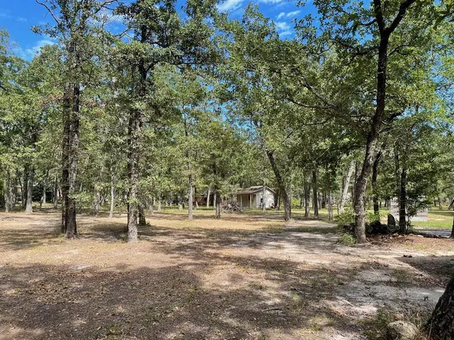 a view of trees with trees