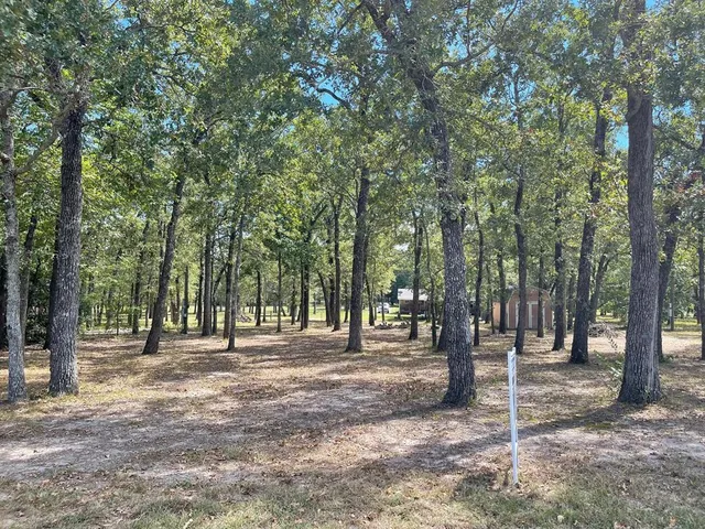 a front view of a house with a trees