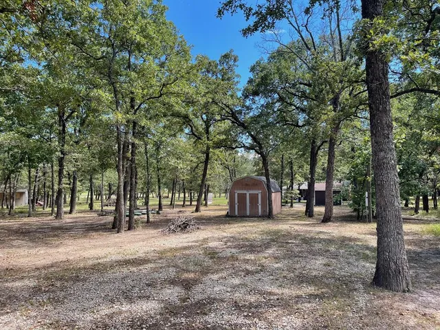 a view of a space with garden and trees