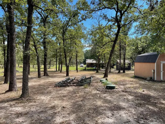 a view of a yard with trees