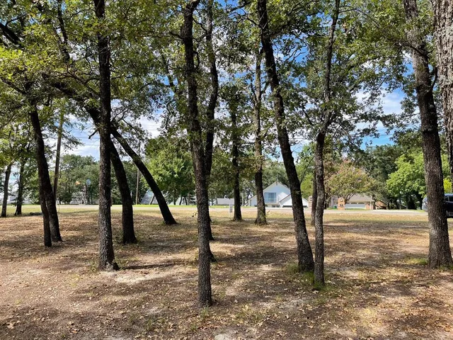 a view of a yard with a tree