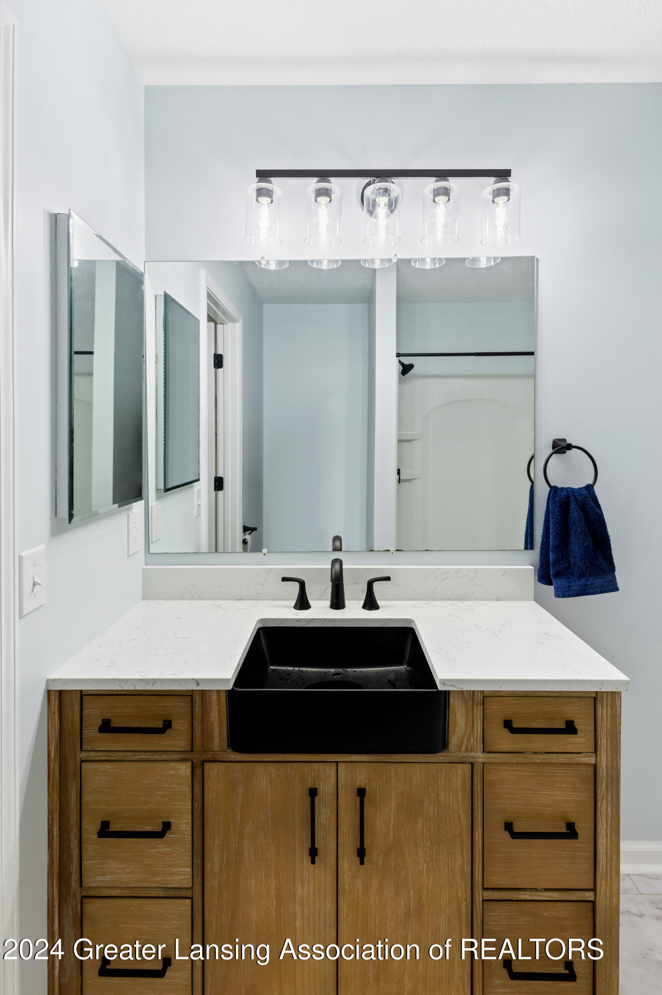 6727 Spring Tree Lane Lansing, MI 48917 - Photo 18 of 50 IMG_7922