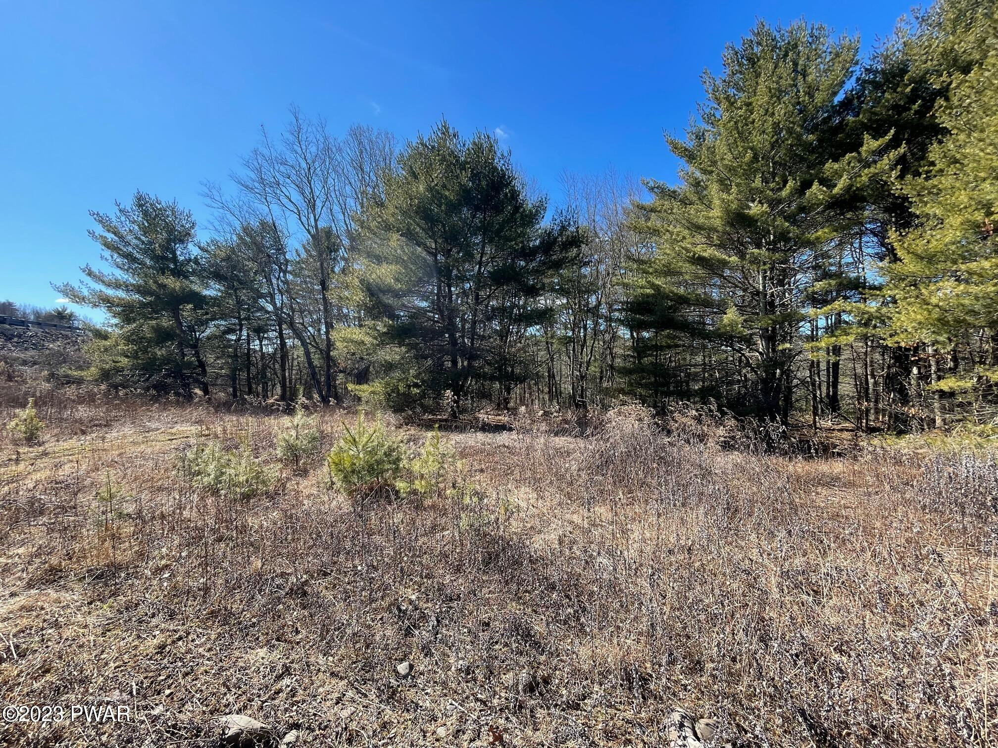 Lot 19 Mt Springs Road Milford, PA 18337 - Photo 5 of 11