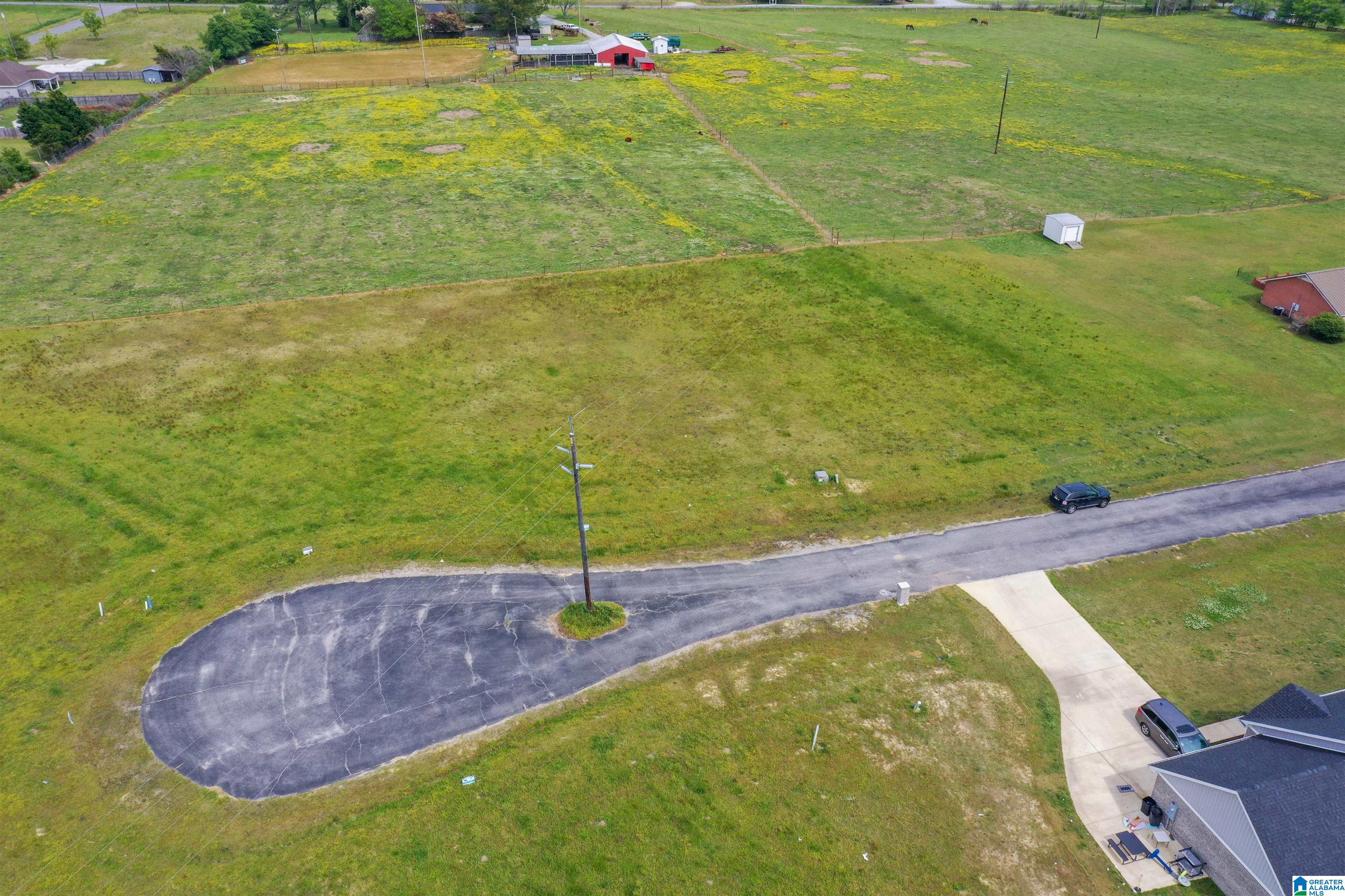 797 County Road Clanton, AL 35045 - Photo 29 of 44
