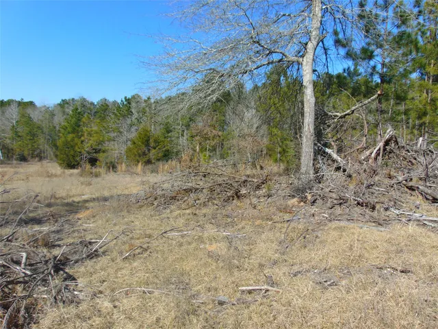 a view of a yard with trees in the background