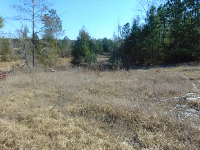 a view of a dry yard with trees