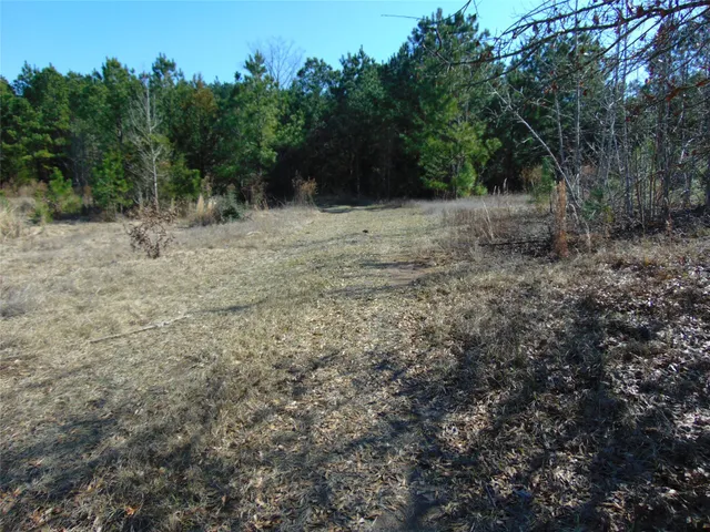 a view of a dry yard with trees
