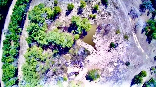 a view of a yard with plants and flowers