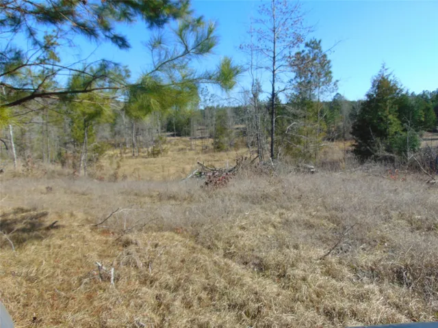 a view of a yard with wooden fence