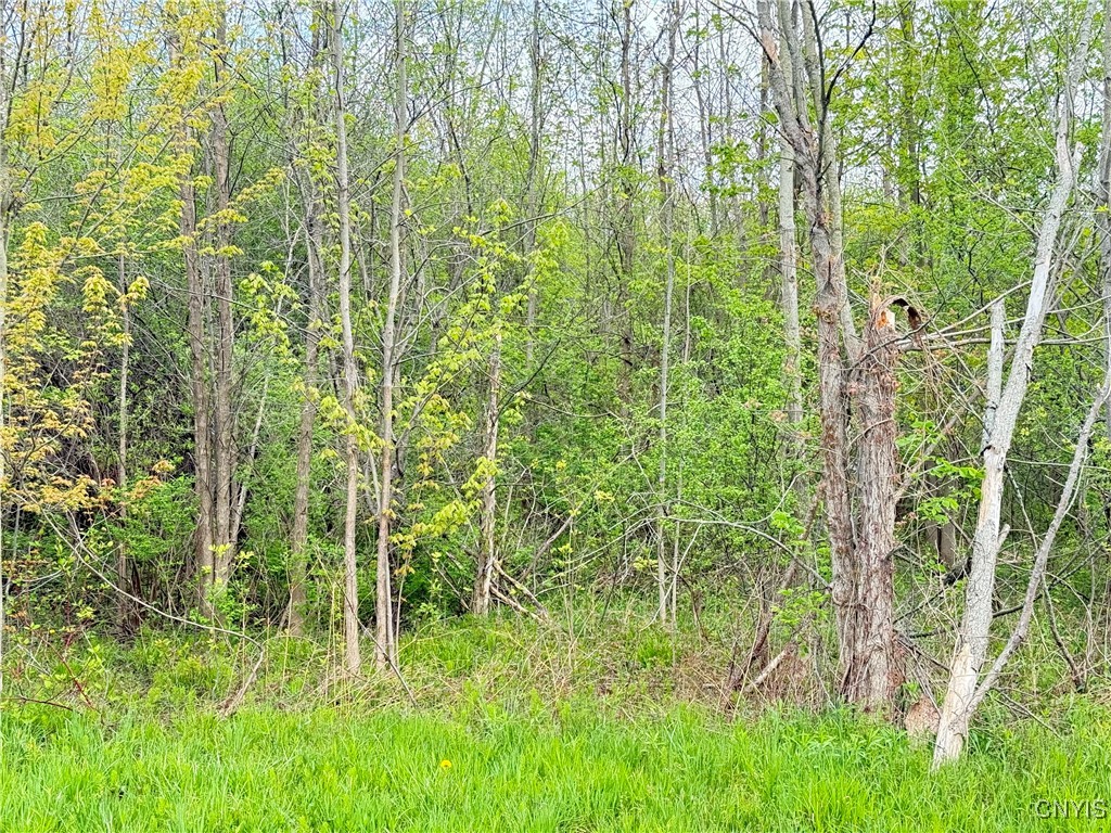 0 Klocks Corners Road Oswego, NY 13126 - Photo 6 of 20