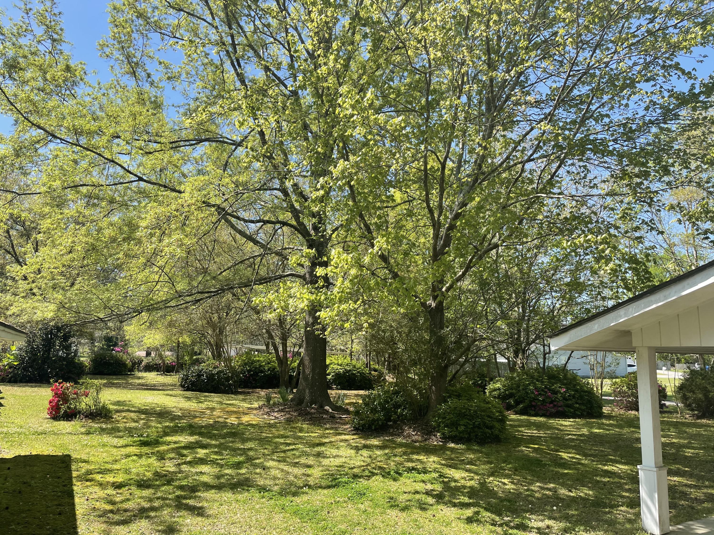 505 Edwards Road Jacksonville, NC 28540 - Photo 7 of 32 IMG_4932