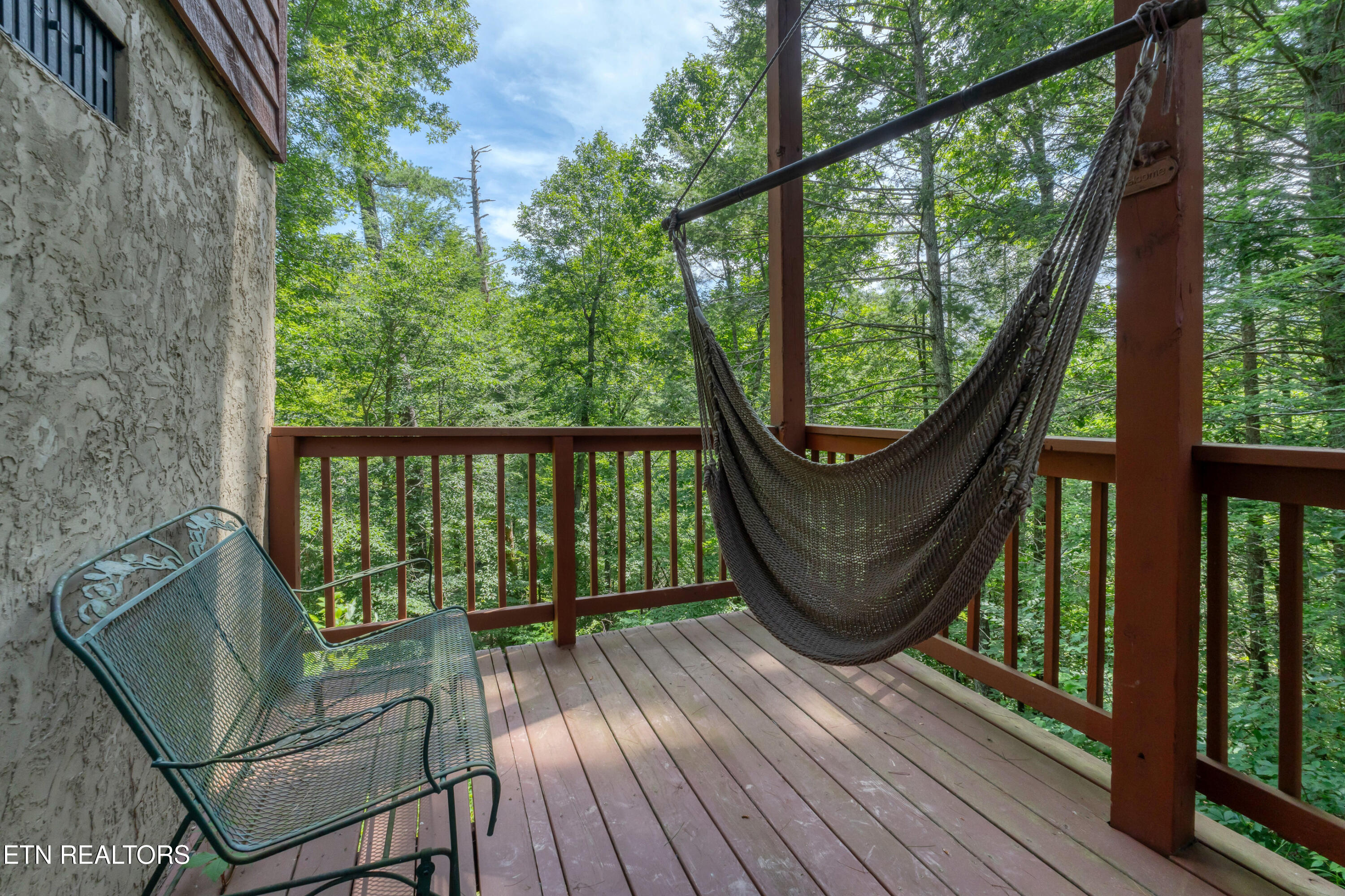233 Ace Gap Road Townsend, TN 37882 - Photo 31 of 38 DSC09582