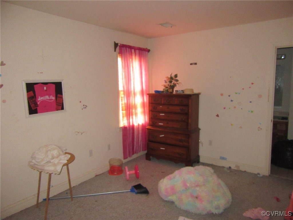 17819 Wilkinson Road Dinwiddie, VA 23841 - Photo 20 of 27 Gallery Image 20