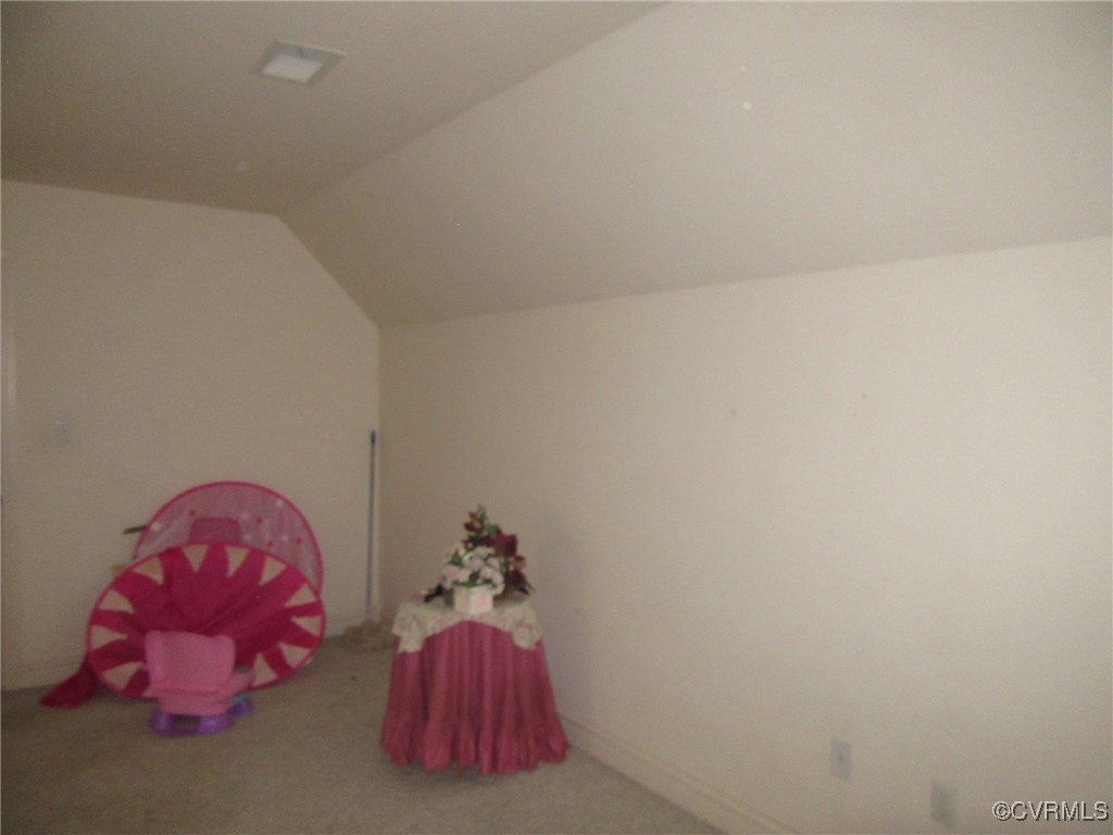 17819 Wilkinson Road Dinwiddie, VA 23841 - Photo 23 of 27 Gallery Image 23
