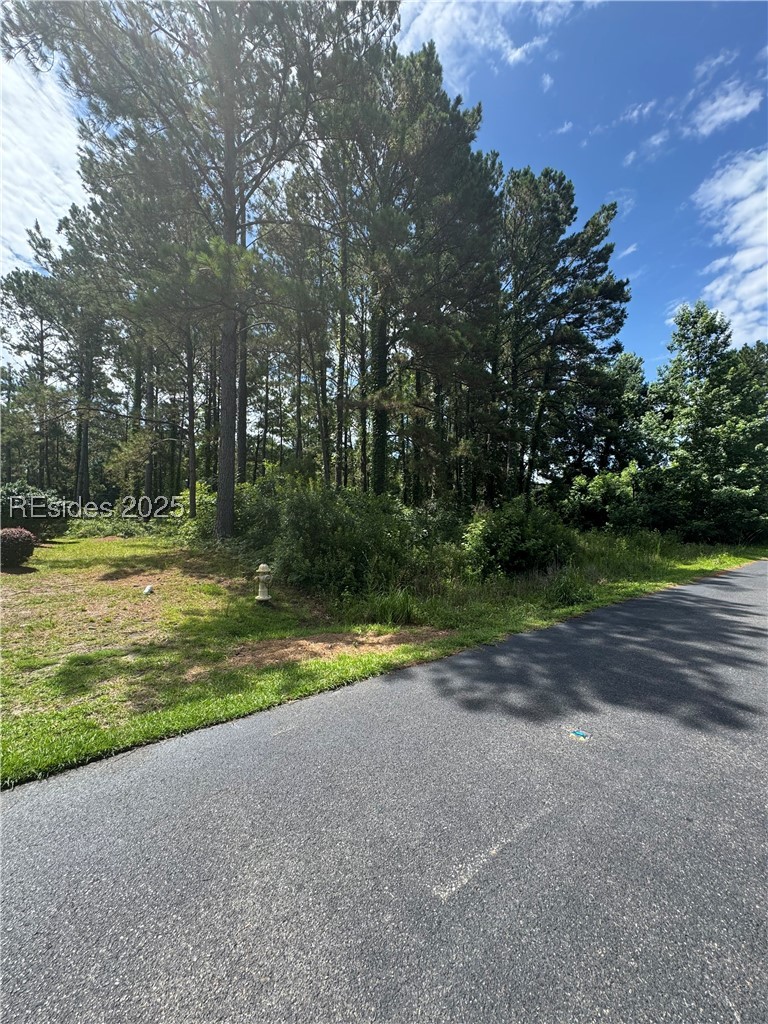 28 Ferebee Court Bluffton, SC 29910 - Photo 3 of 4