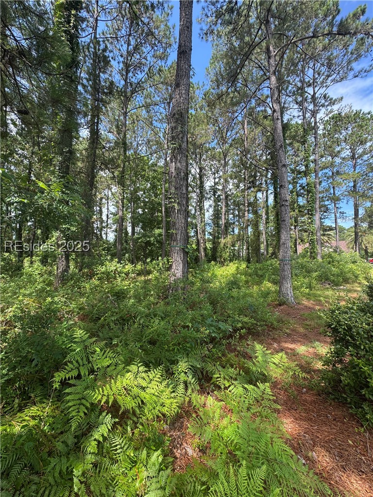 28 Ferebee Court Bluffton, SC 29910 - Photo 4 of 4