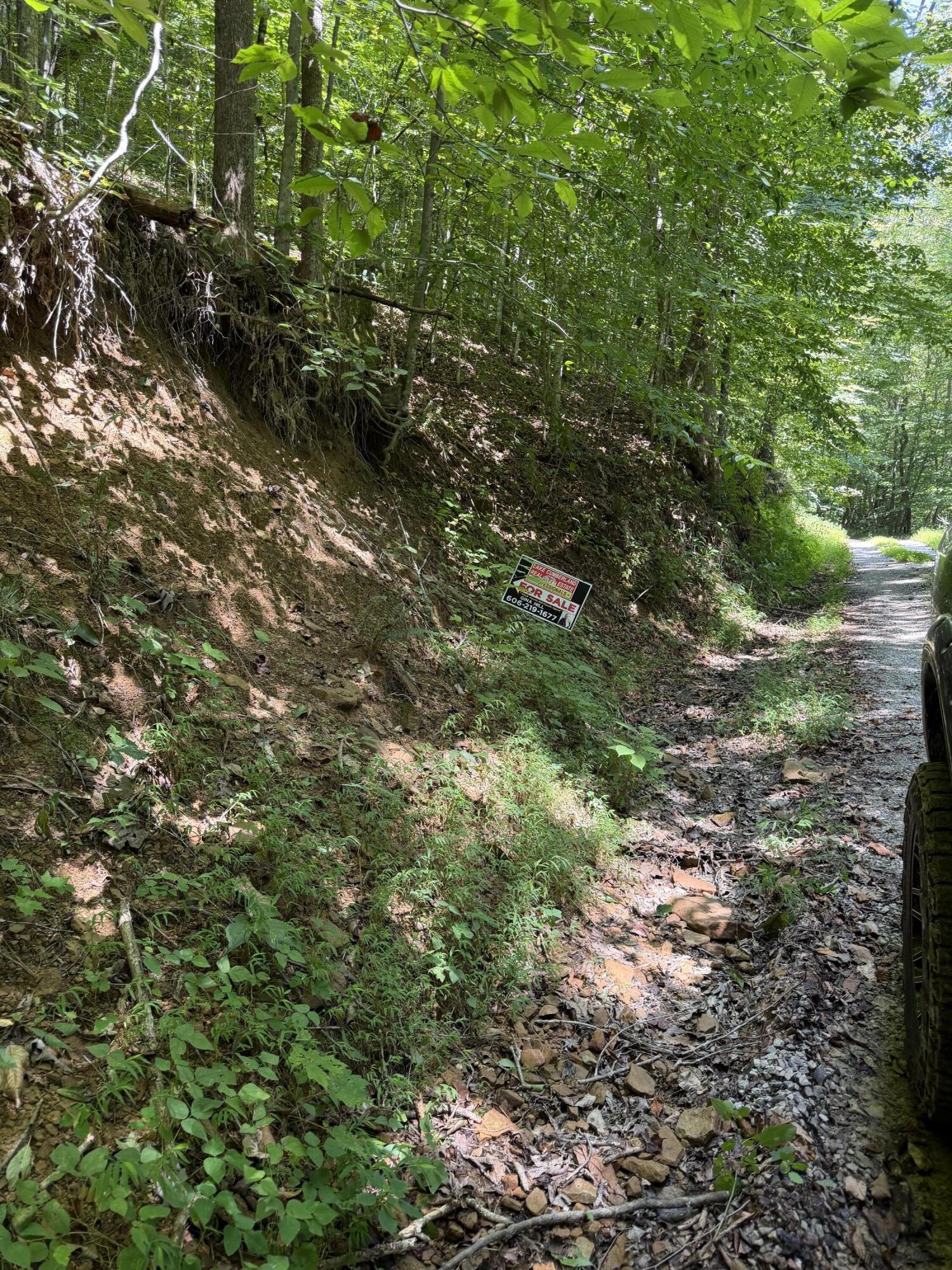 370 Roaring Fork Road Walker, KY 40997 - Photo 13 of 17 IMG_1775