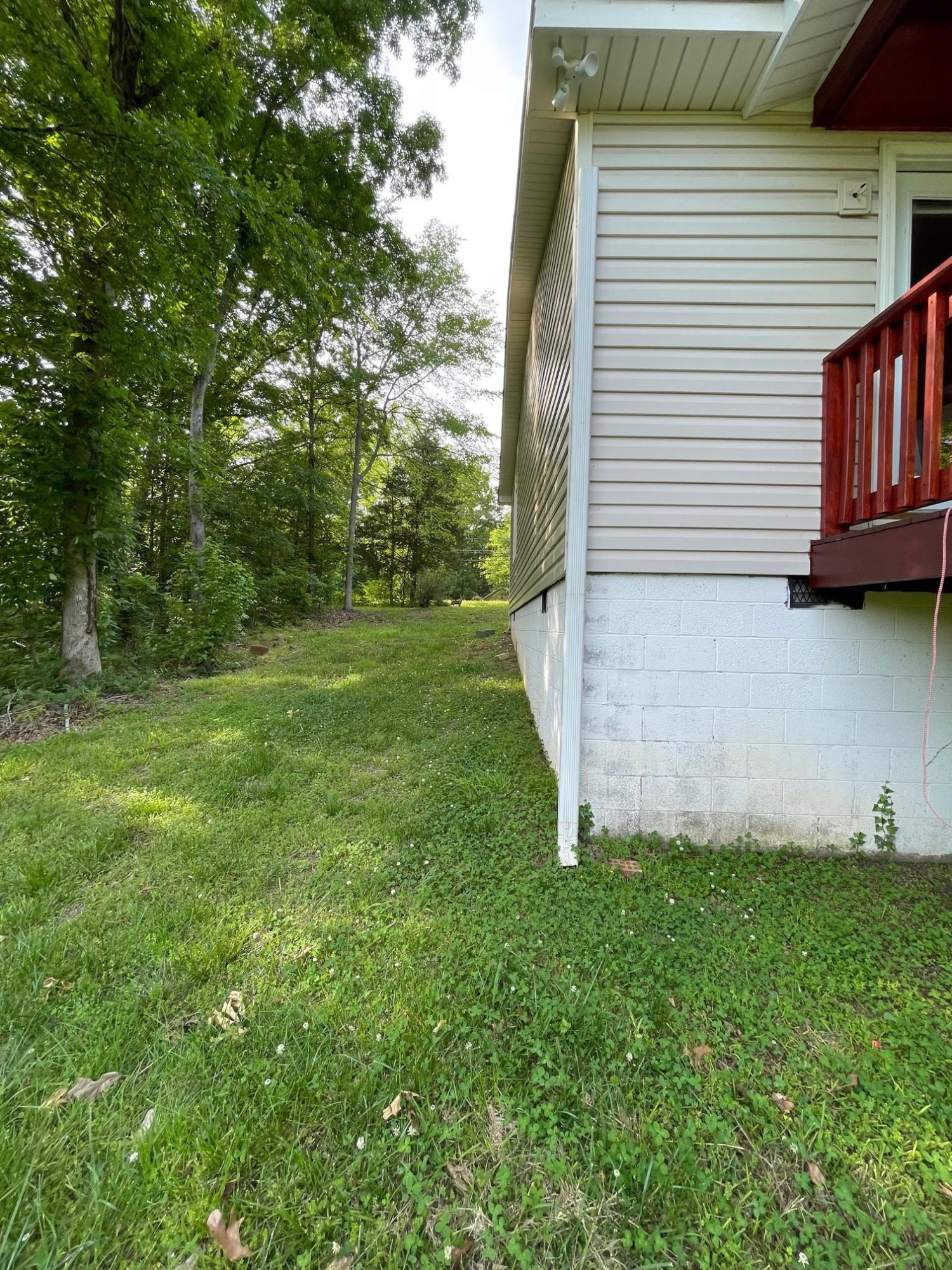 606 Infinity Road Durham, NC 27712 - Photo 18 of 30 a view of a backyard with barn plants and large tree