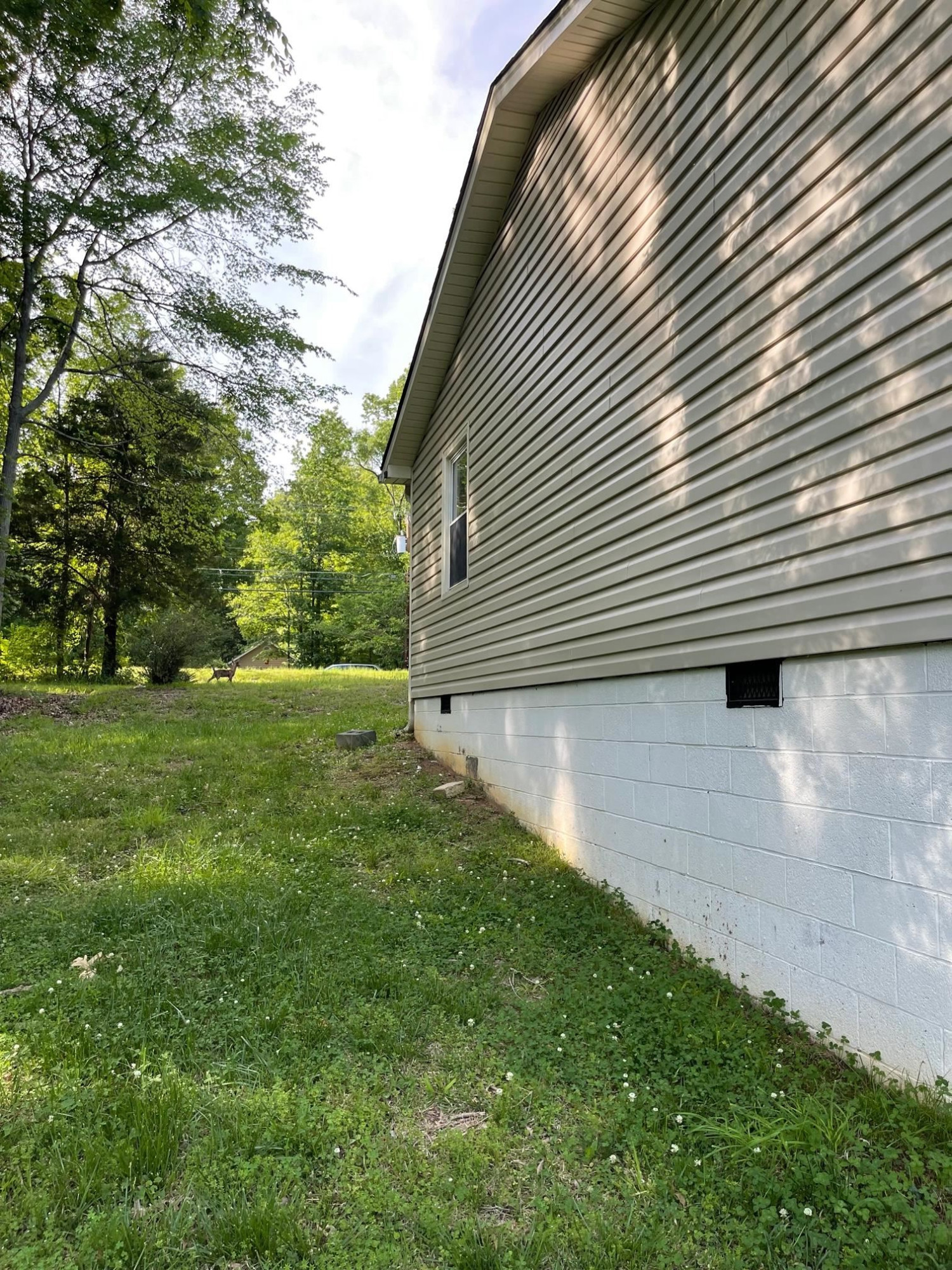 606 Infinity Road Durham, NC 27712 - Photo 19 of 30 a view of backyard with a garden