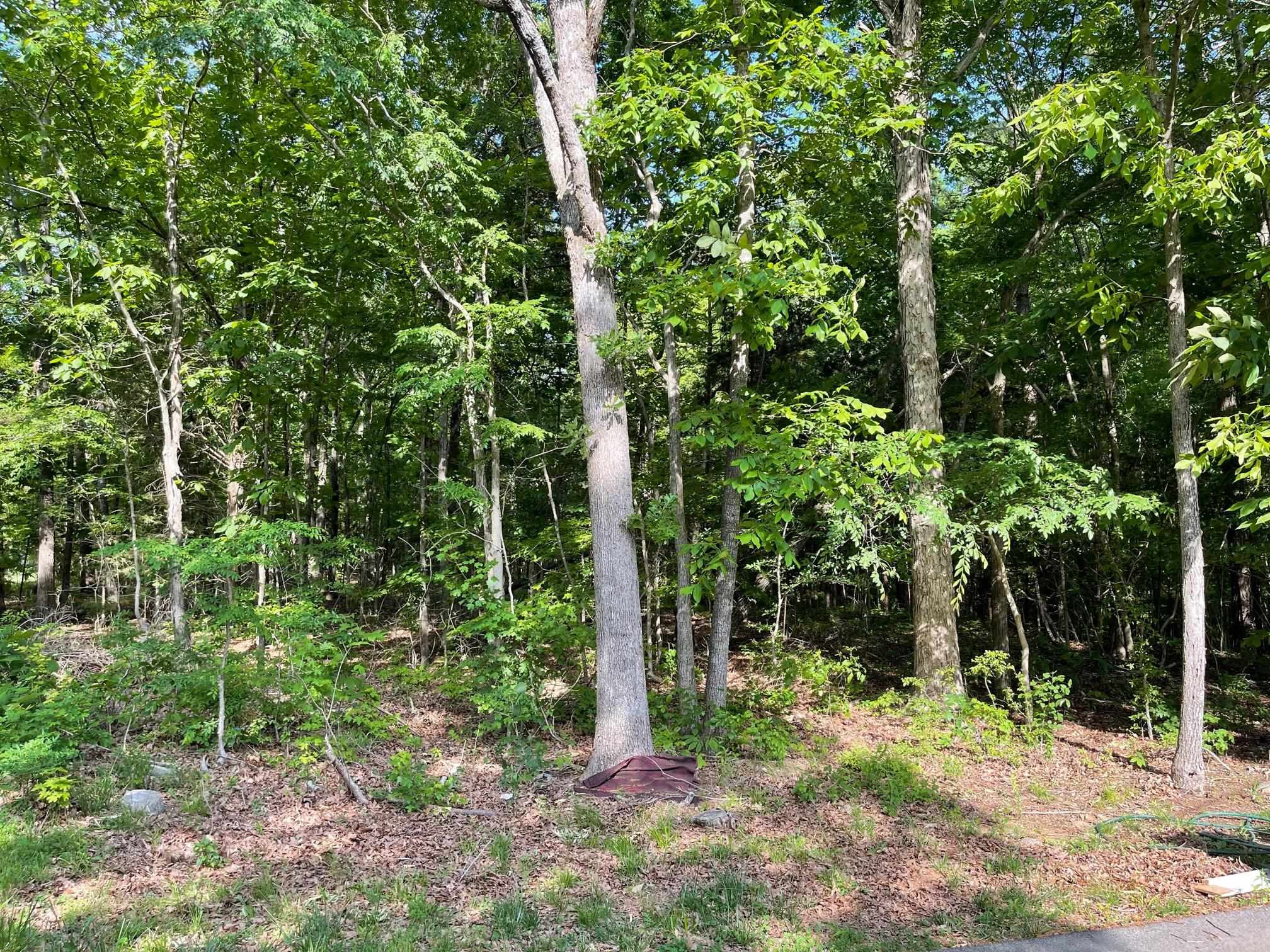 606 Infinity Road Durham, NC 27712 - Photo 25 of 30 a backyard of a house with lots of green space