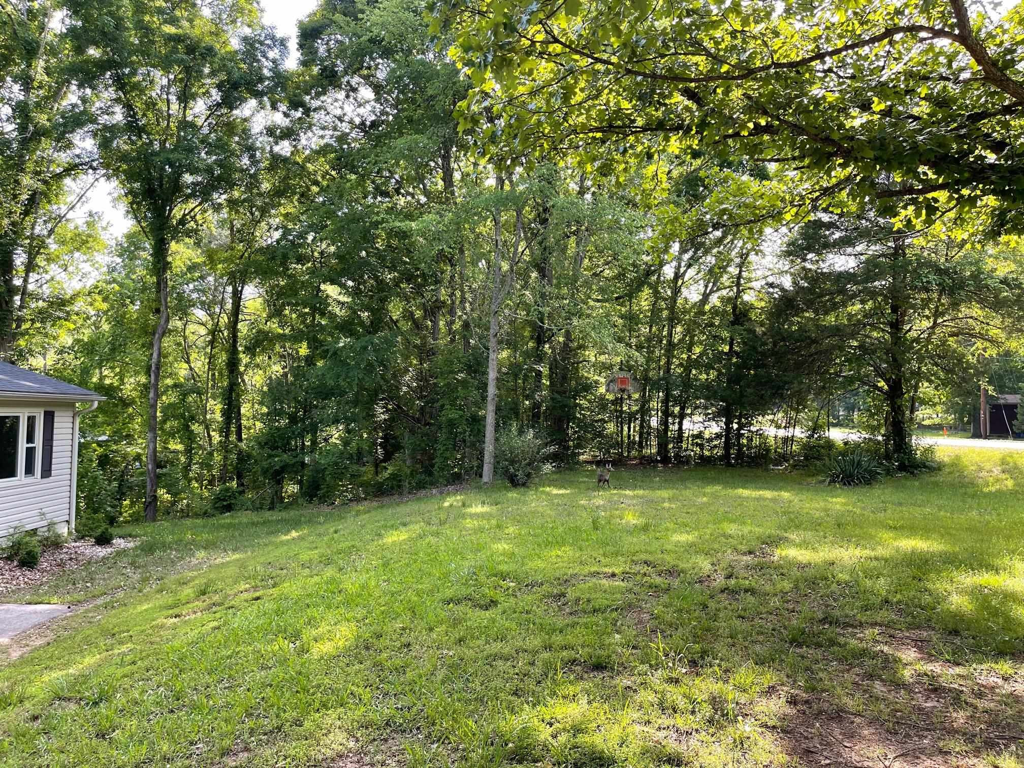 606 Infinity Road Durham, NC 27712 - Photo 30 of 30 a view of a trees in a yard