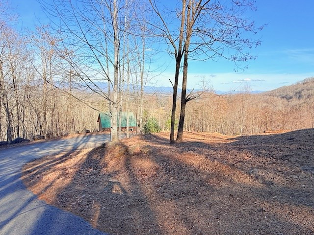 745 Buck Ridge Drive Murphy, NC 28906 - Photo 34 of 54