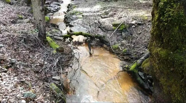 a room with wooden floor and furniture