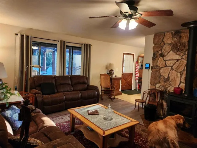 a view of a park with large trees