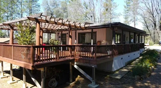 a view of a garden with a tree