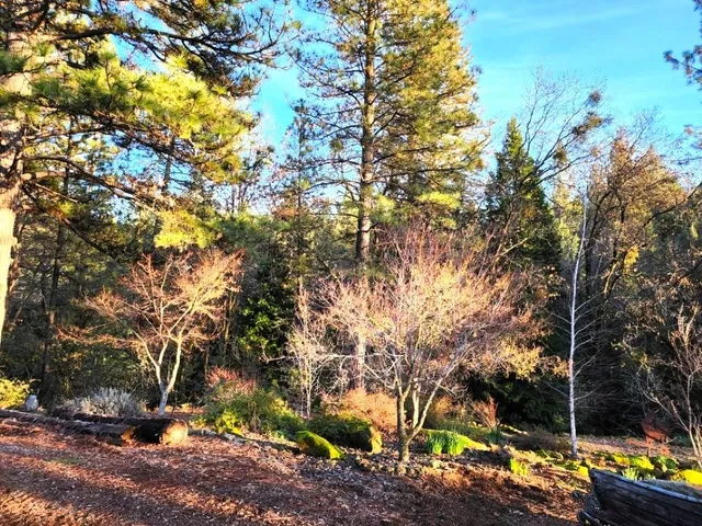 $399,000 | 955 Grinding Rock Court, West Point, CA 95255