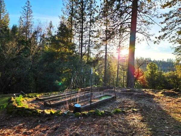 $399,000 | 955 Grinding Rock Court, West Point, CA 95255