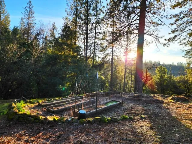 $399,000 | 955 Grinding Rock Court, West Point, CA 95255