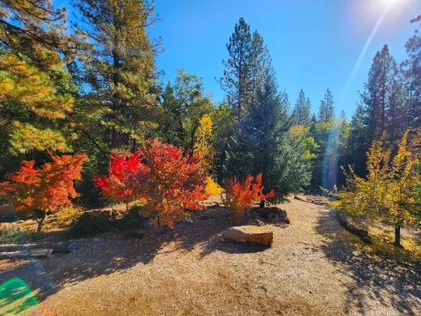 $399,000 | 955 Grinding Rock Court, West Point, CA 95255