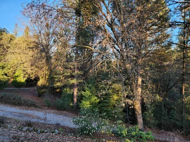 $399,000 | 955 Grinding Rock Court, West Point, CA 95255