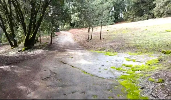 $399,000 | 955 Grinding Rock Court, West Point, CA 95255