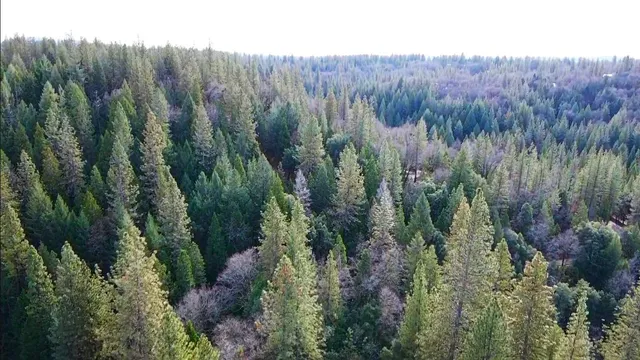 $399,000 | 955 Grinding Rock Court, West Point, CA 95255