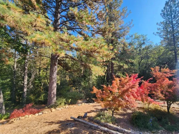 $399,000 | 955 Grinding Rock Court, West Point, CA 95255