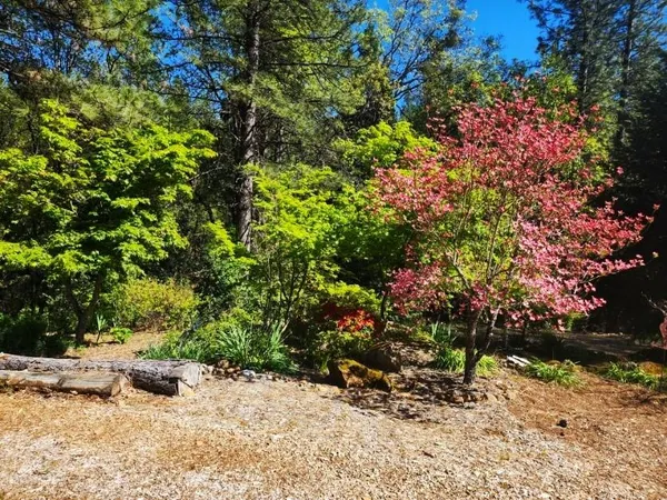 $399,000 | 955 Grinding Rock Court, West Point, CA 95255