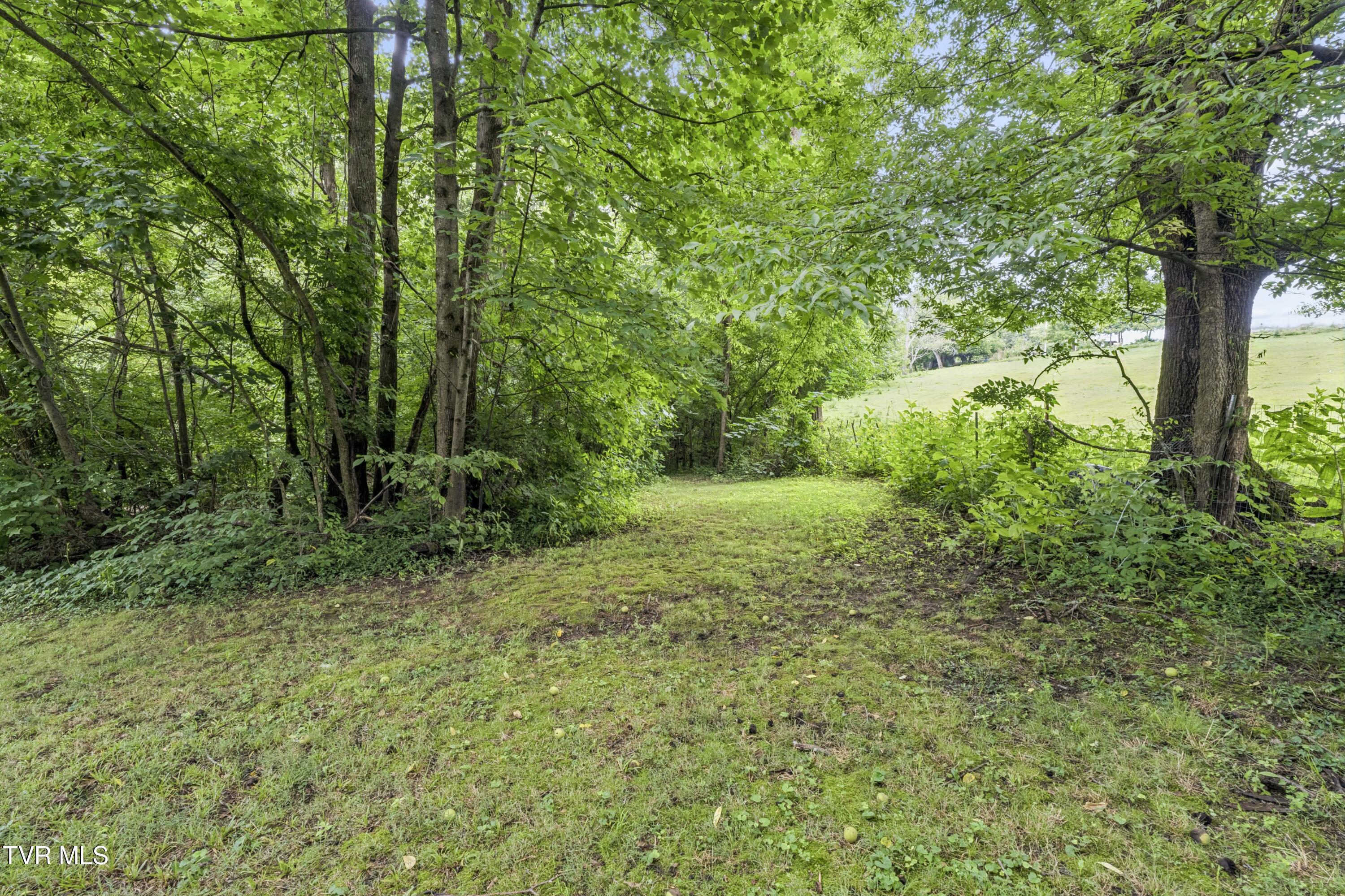 130 Valley Road Telford, TN 37690 - Photo 49 of 65 Valley-48