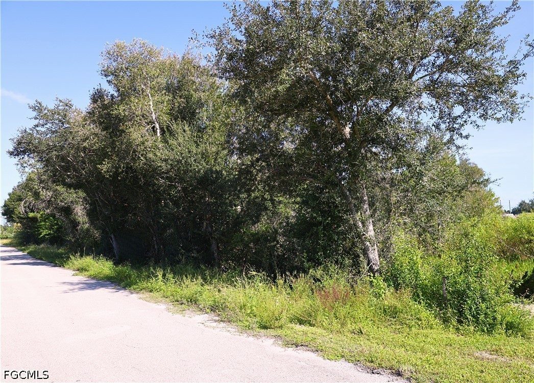 3224 Ruth Lane Lehigh Acres, FL 33976 - Photo 1 of 5 Gallery Image 1
