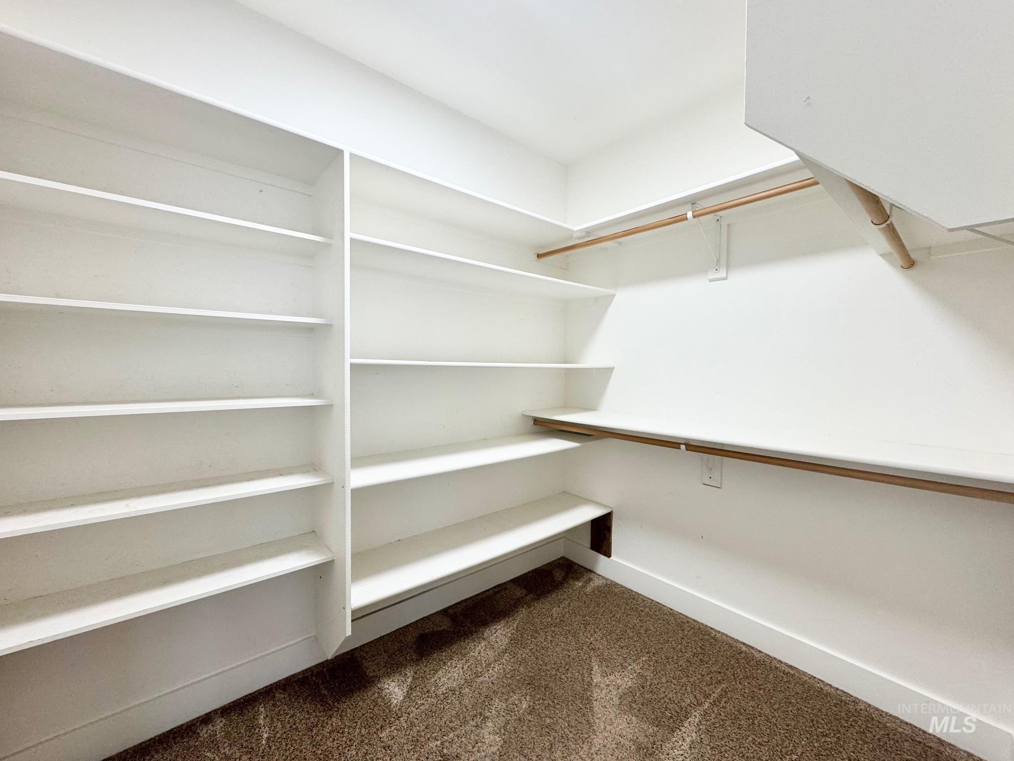 650 Lochsa Loop Heyburn, ID 83336 - Photo 16 of 26 Walk in closet with dark carpet