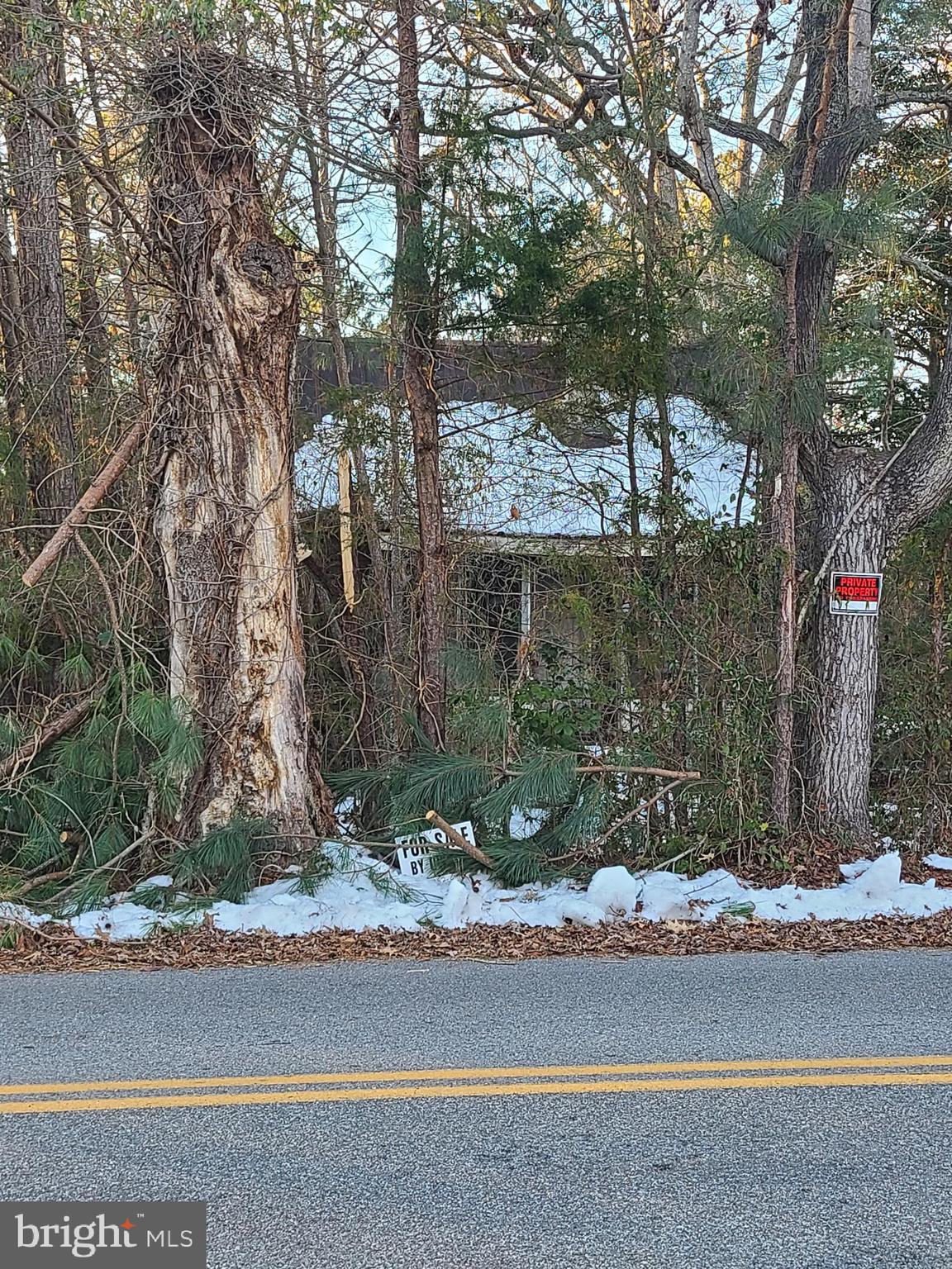 a view of a house with a yard and street