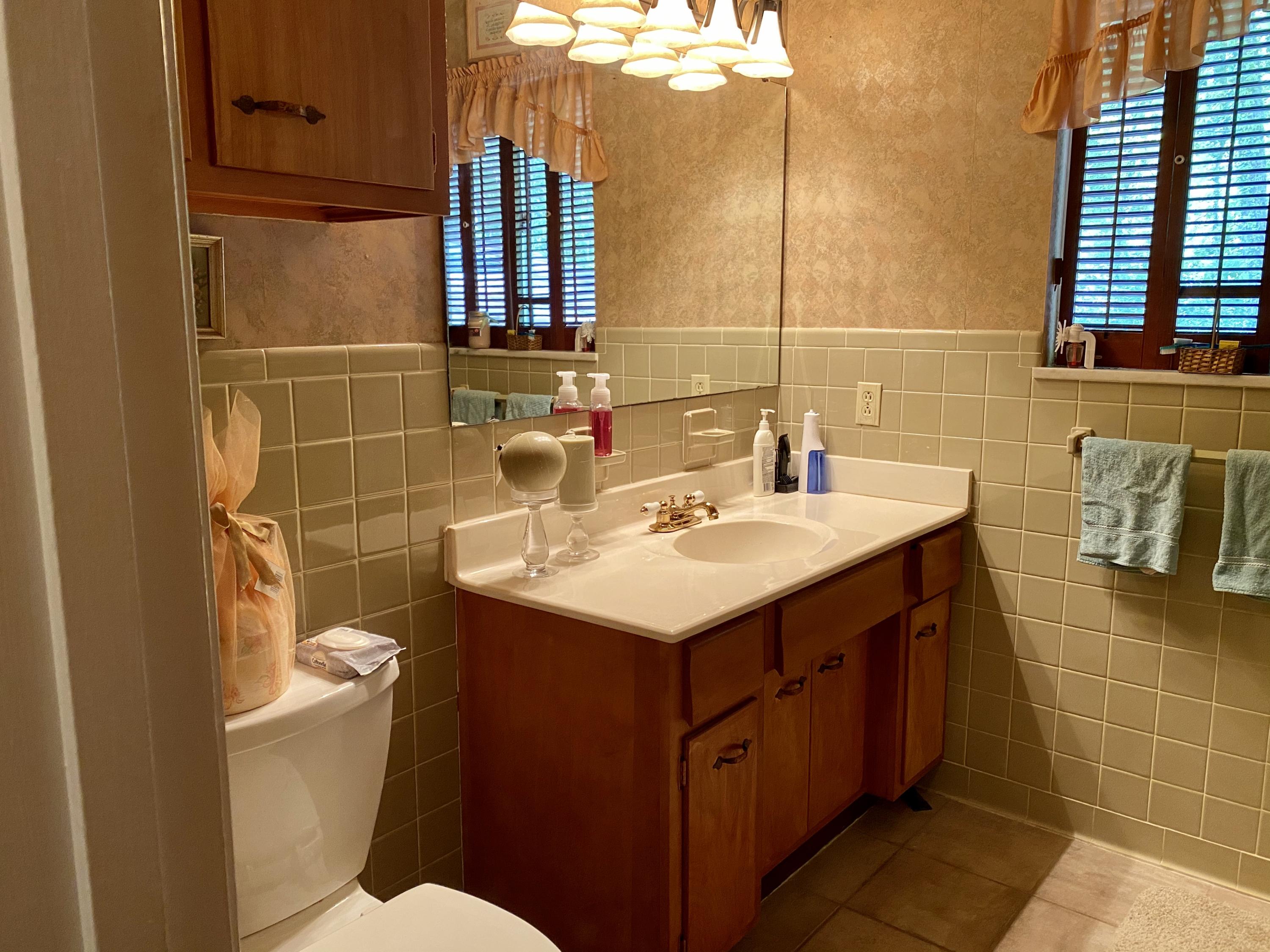 149 Nebraska Avenue Oak Ridge, TN 37830 - Photo 14 of 22 Hall Bath