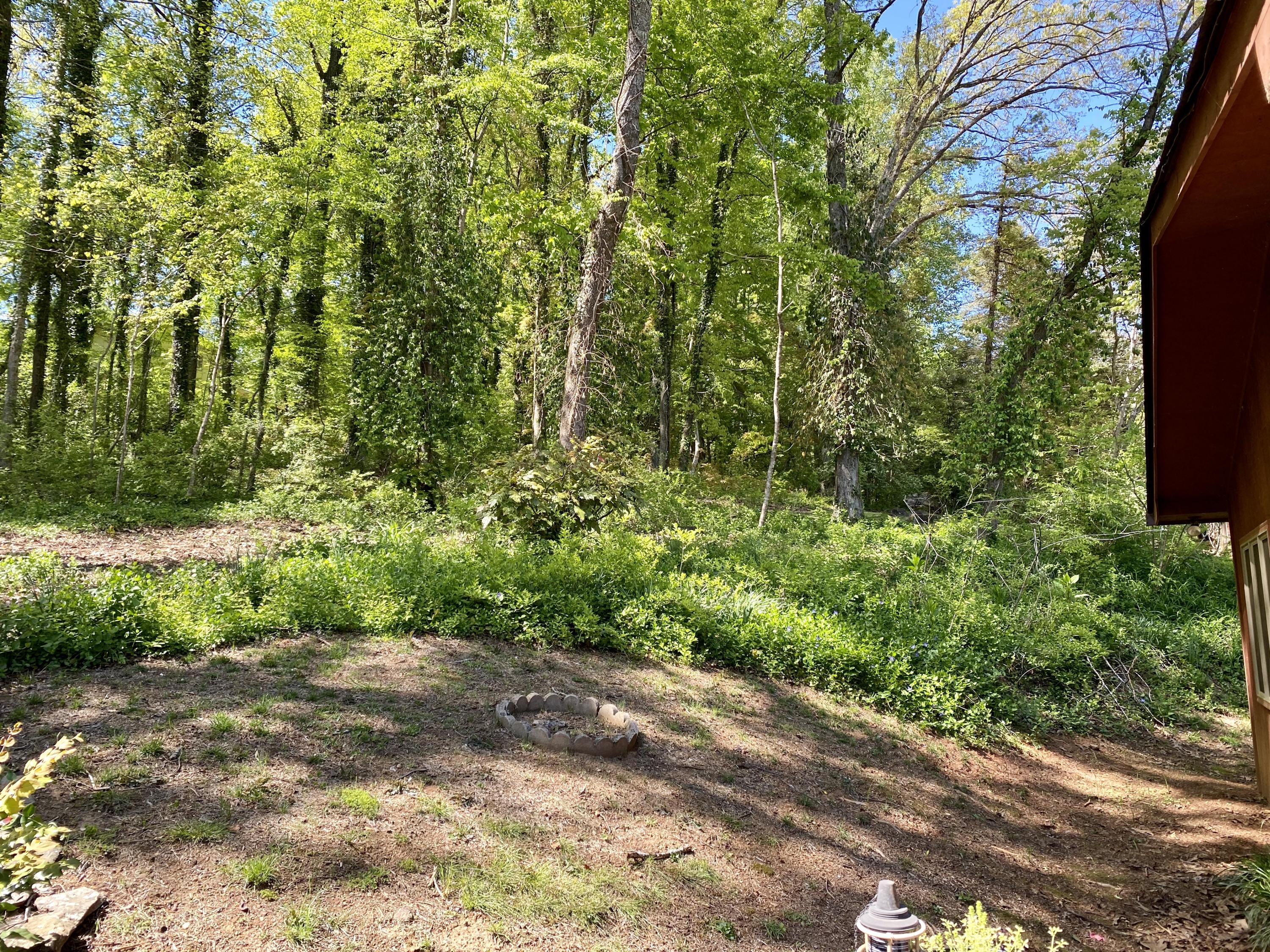 149 Nebraska Avenue Oak Ridge, TN 37830 - Photo 22 of 22 Backyard