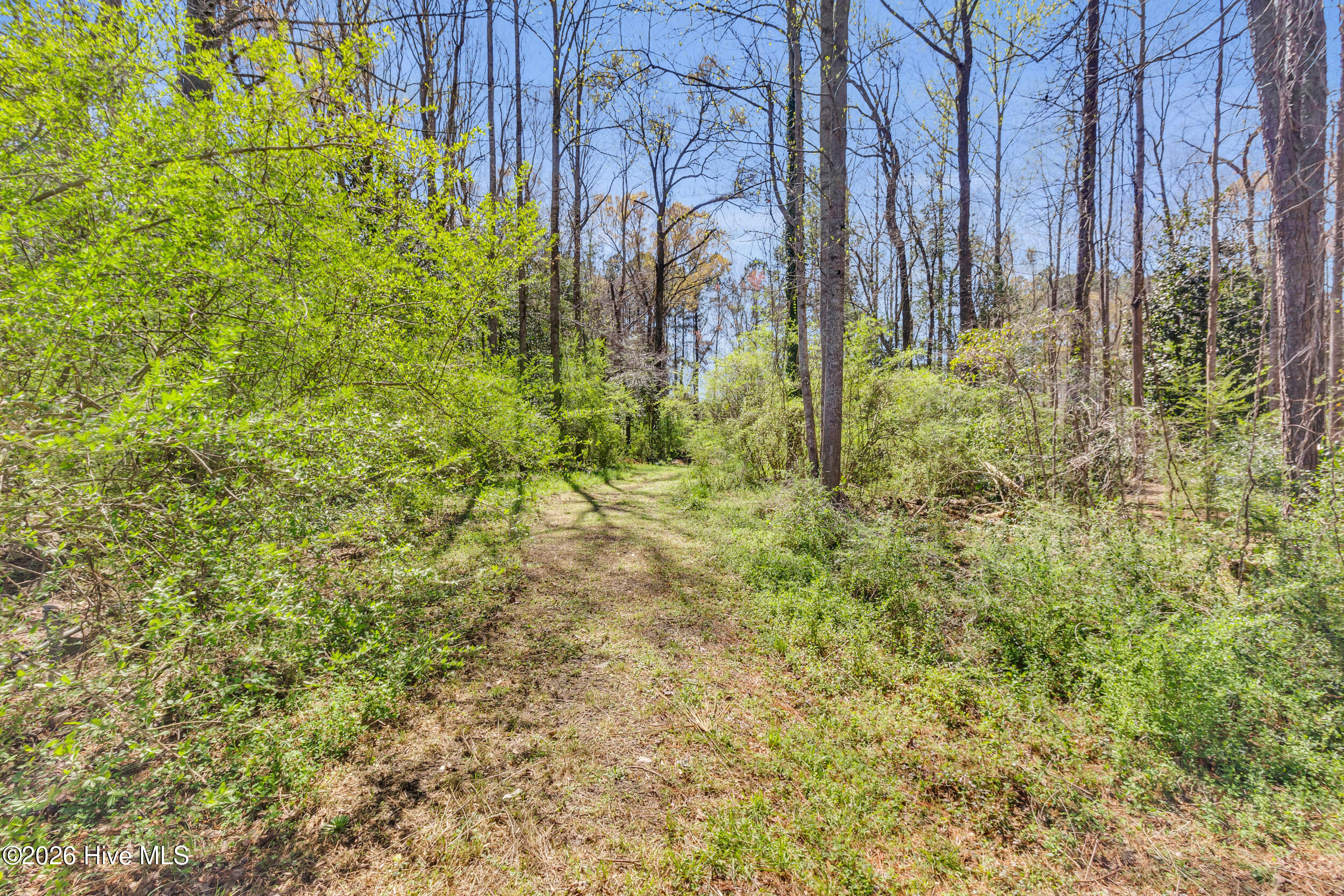 275 Bayleaf Road New Bern, NC 28560 - Photo 44 of 52 Back