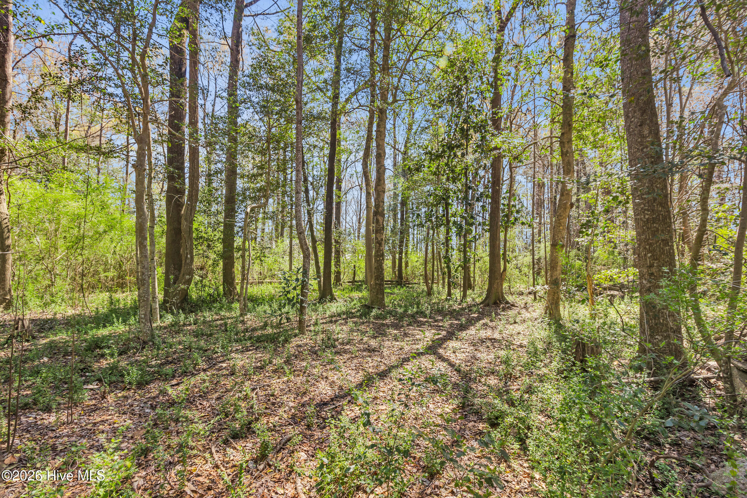 275 Bayleaf Road New Bern, NC 28560 - Photo 45 of 52 Back