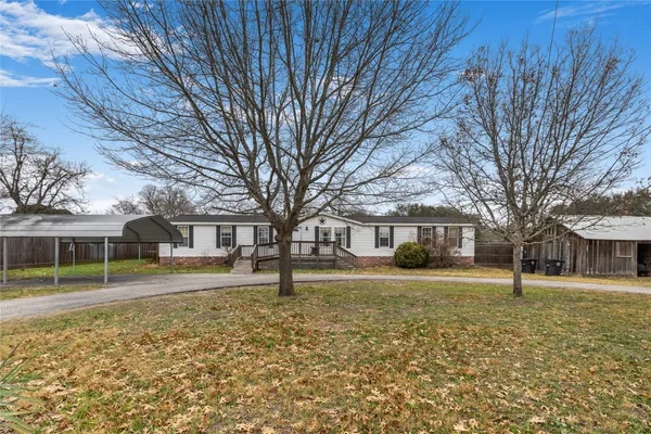 a tree in front of house with a yard