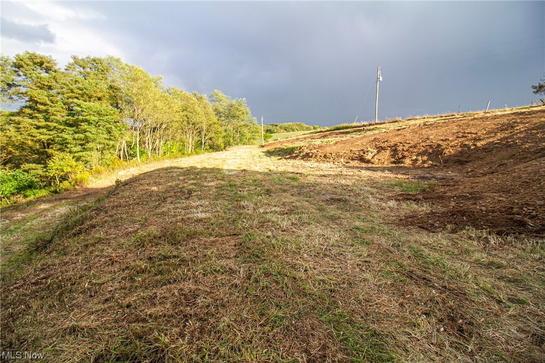 0 Couch Road Jewett, OH 43986 - Photo 27 of 34 View of yard