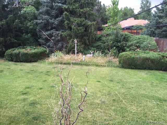 529 West Ridge Road Littleton, CO 80120 - Photo 5 of 21 a backyard of a house with a yard and potted plants